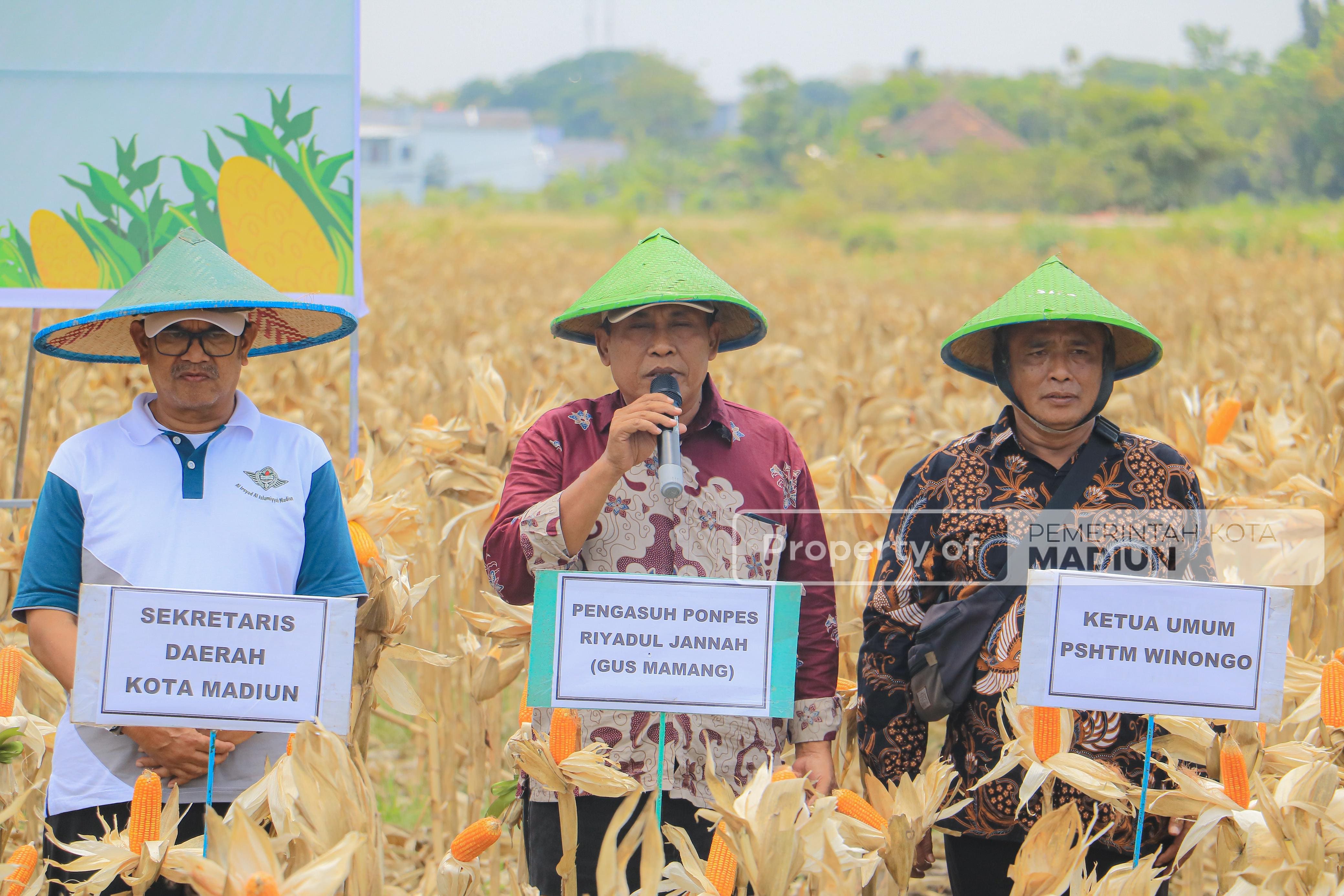 Sinergi Pemerintah dan Polri Perkuat Ketahanan Pangan Lewat Panen Raya Jagung Serentak Kuartal III