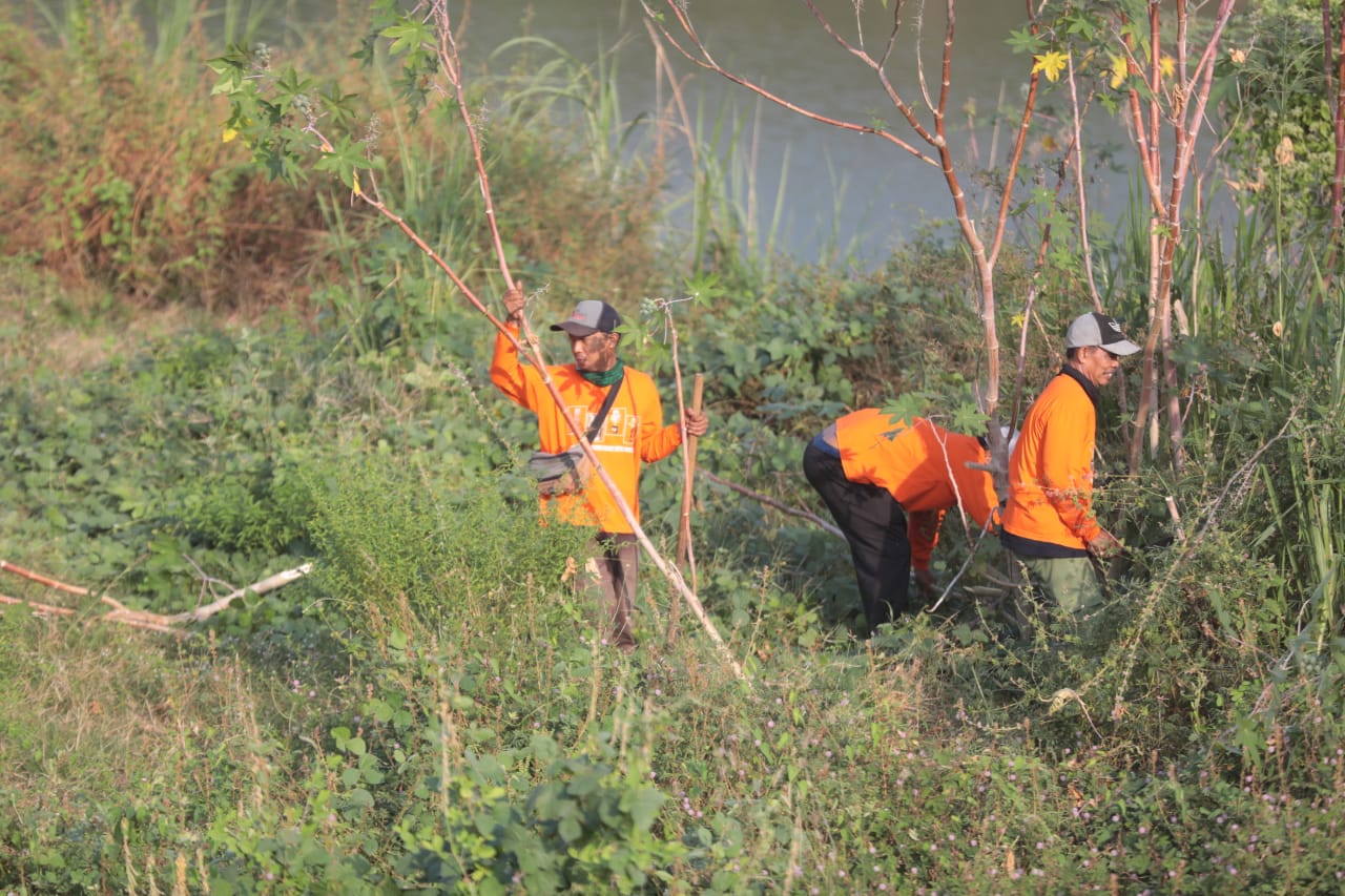 Kerja Bakti Bersama Warga di Lapak Pancasoka, Wali Kota Harap Kebersihan dan Kenyamanan Terus Dijaga